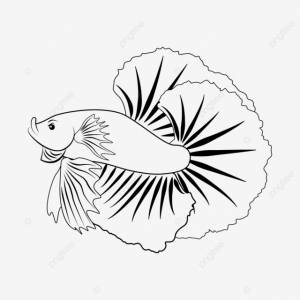 рисунок бойцовая рыбка  сиамский боец PNG , рисунок рыбы, рисунок риса, иллюстрация PNG картинки и пнг рисунок для й загрузки