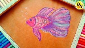Как нарисовать красивую БОЙЦОВУЮ РЫБКУ ПЕТУШОК пастелью