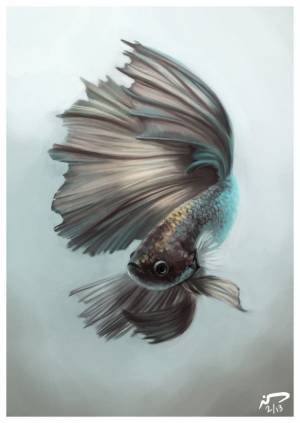 Рыбка петушок арт