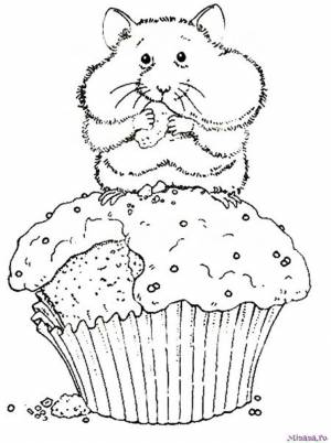 Раскраска хомяк 9