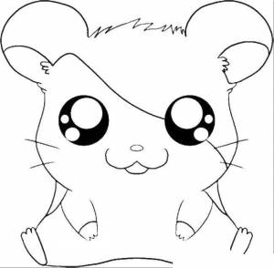 Раскраски Раскраска Хомяк Животные детские