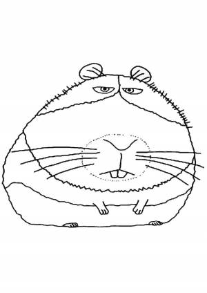 Раскраска хомяк