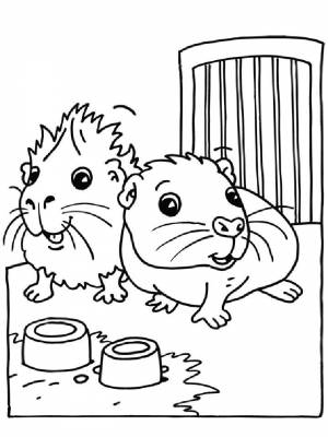 Детские раскраски Хомяк