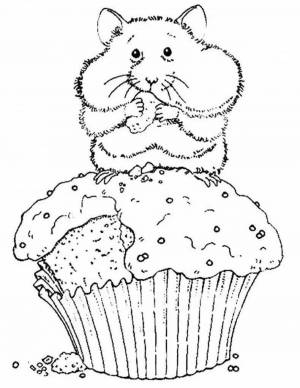 Раскраски Новогодний хомячок