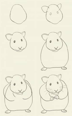 Хомяк рисунок карандашом