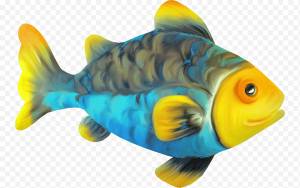 Коралловый Риф, Костистые Рыбы, Золотая Рыбка, Анимация, Аквариумные Рыбки, Пресноводные Рыбы-Ангелы, Рисование, Рыбоводство png