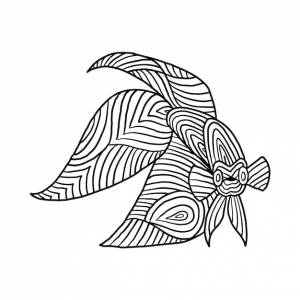 Раскраска бойцовая рыбка голова животного дзен дудл