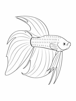 Раскраски Аквариумные рыбки