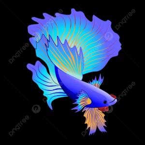 бойцовая рыбка  сиамский боец ​​из таиланда PNG , живая природа, за, просто PNG картинки и пнг рисунок для й загрузки