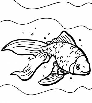 Бесплатные раскраски с рыбками для детей