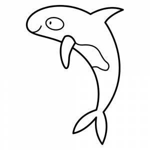Раскраска Косатка для малышей