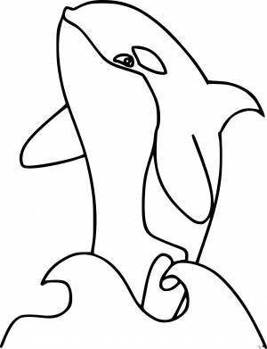 Раскраски рыба касатка