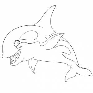 Счастливая косатка-убийца