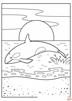 Исследуйте красоту океана с помощью раскраски Orca Coloring Pages