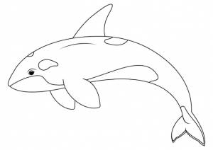 Черно-белый мультипликационный персонаж косатки