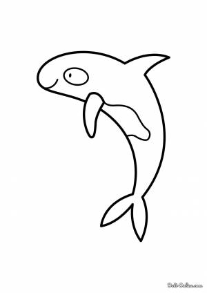 Раскраска Косатка для малышей