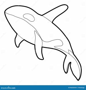 Раскраска косатка