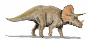 Картинки по запросу трицератопс рисунок