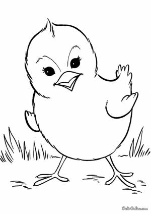Раскраска Цыпленок