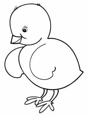 Раскраска Маленький цыпленок