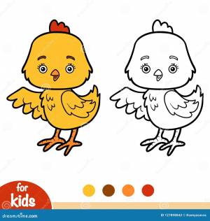 Книжка-раскраска, цыпленок иллюстрация вектора