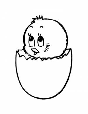 Раскраска цыплёнок