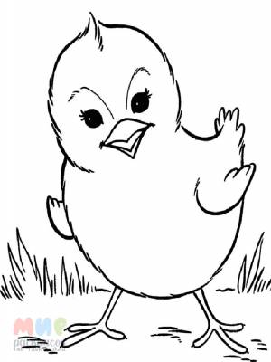 Раскраска Цыпленок