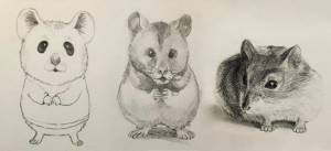 Как нарисовать хомяка карандашом поэтапно