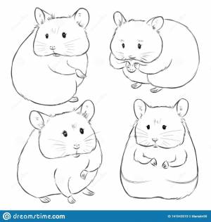 Хомячок рисунок карандашом