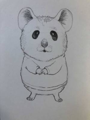 Как нарисовать хомяка карандашом поэтапно