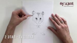 Как нарисовать хомяка карандашом поэтапно