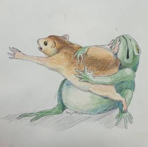 Эпическая битва жабы с хомяком