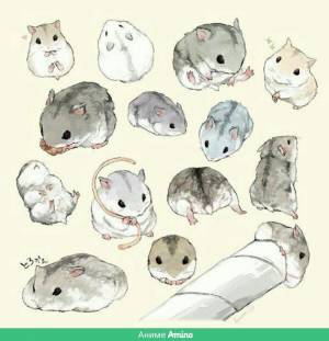 Маленький хомяк рисунок