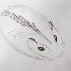 Хомячок Вася