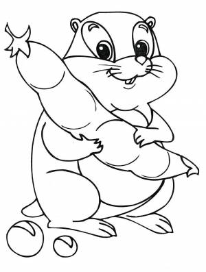 Раскраска Хомяк