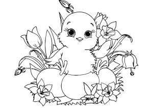 Раскраска Цыпленок в цветочной композиции
