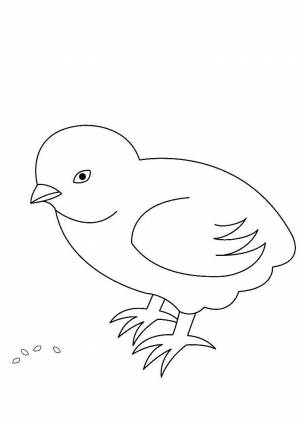 Раскраски Раскраска Цыпленок клюет зерна птицы