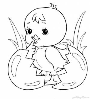 Картинки по запросу раскраска петух курица цыпленок