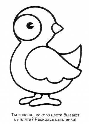 Раскраски Раскраска Цыпленок Раскраски для малышей детские