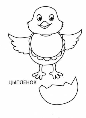 Раскраска цыплёнок