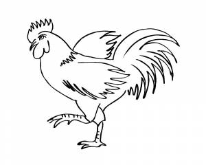 Раскраска Курица