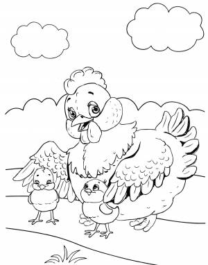 Раскраска Курочка и маленькие цыплята