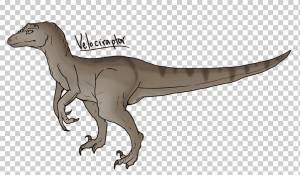 Velociraptor Tyrannosaurus Рисунок Динозавр, динозавр, карандаш, тиранозавр, фауна png