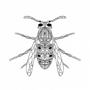 антистрессовой раскраски оса-насекомое, изолированная на белом фоне, векторная иллюстрация каракулей