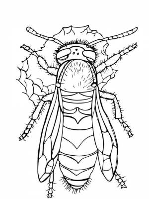 Раскраска Оса  в формате  для детей