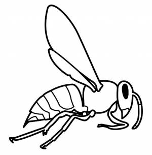 Раскраска Оса