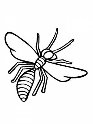 Раскраска Оса картинка на листе  для девочек
