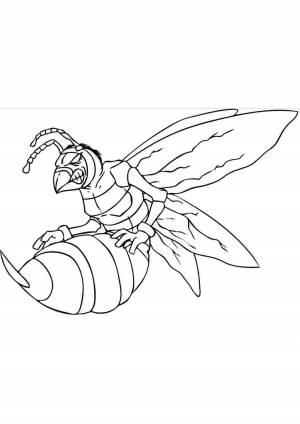 Раскраска оса