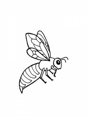 Раскраски Оса   в формате