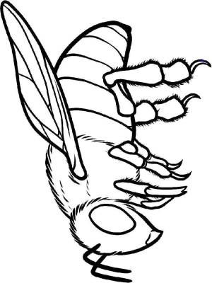 Раскраски Раскраска Оса Осы детские